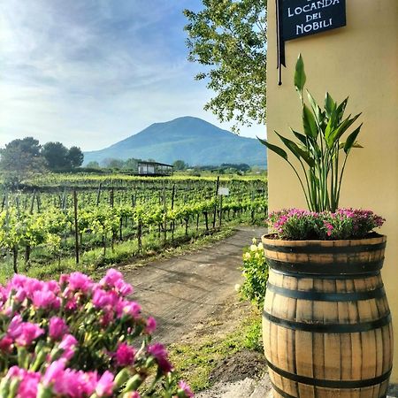 Vesuvio Inn Guest House E Wine Experience Boscotrecase Exterior foto