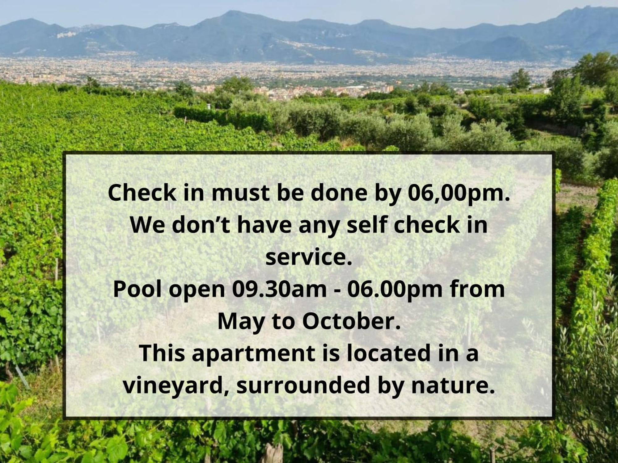Vesuvio Inn Guest House E Wine Experience Boscotrecase Exterior foto