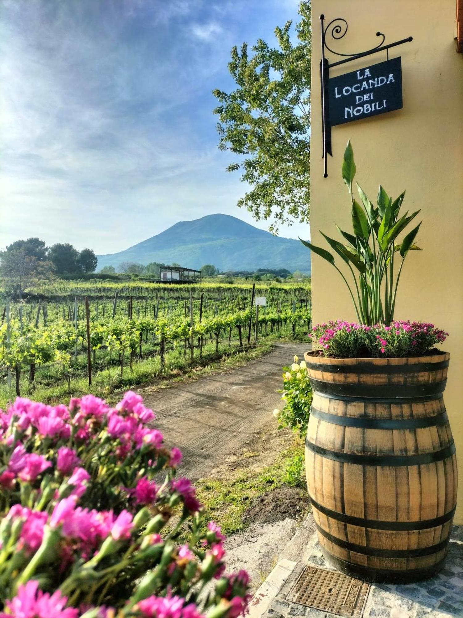 Vesuvio Inn Guest House E Wine Experience Boscotrecase Exterior foto